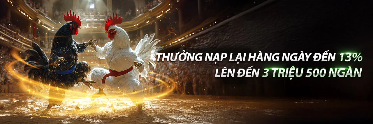 Đá gà bồ xa xỉa trực tuyến tại 72b